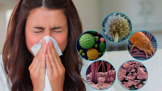 kak-poborot-allergiyu-e1578039406598 Как побороть аллергию - 4 правила в жизни аллергиков