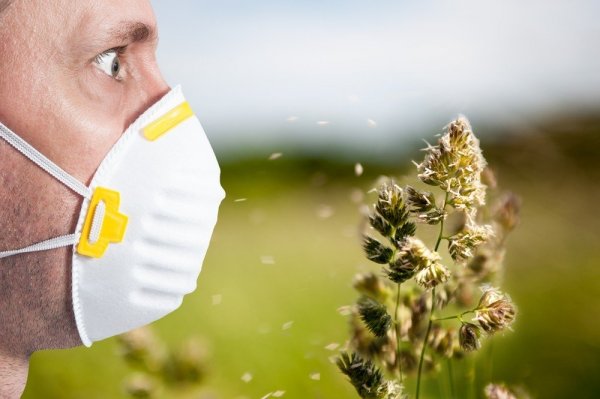 Советы для аллергика — что делать, чтобы уменьшить симптомы аллергии